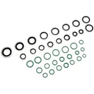 15-2550GM Ac Delco A/c O-ring And Gasket Seal Kit For Chevy Olds Le Sabre Savana. Fixed Price $23.61.